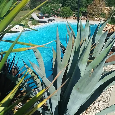 בית הארחה De L'escale Viols-le-Fort